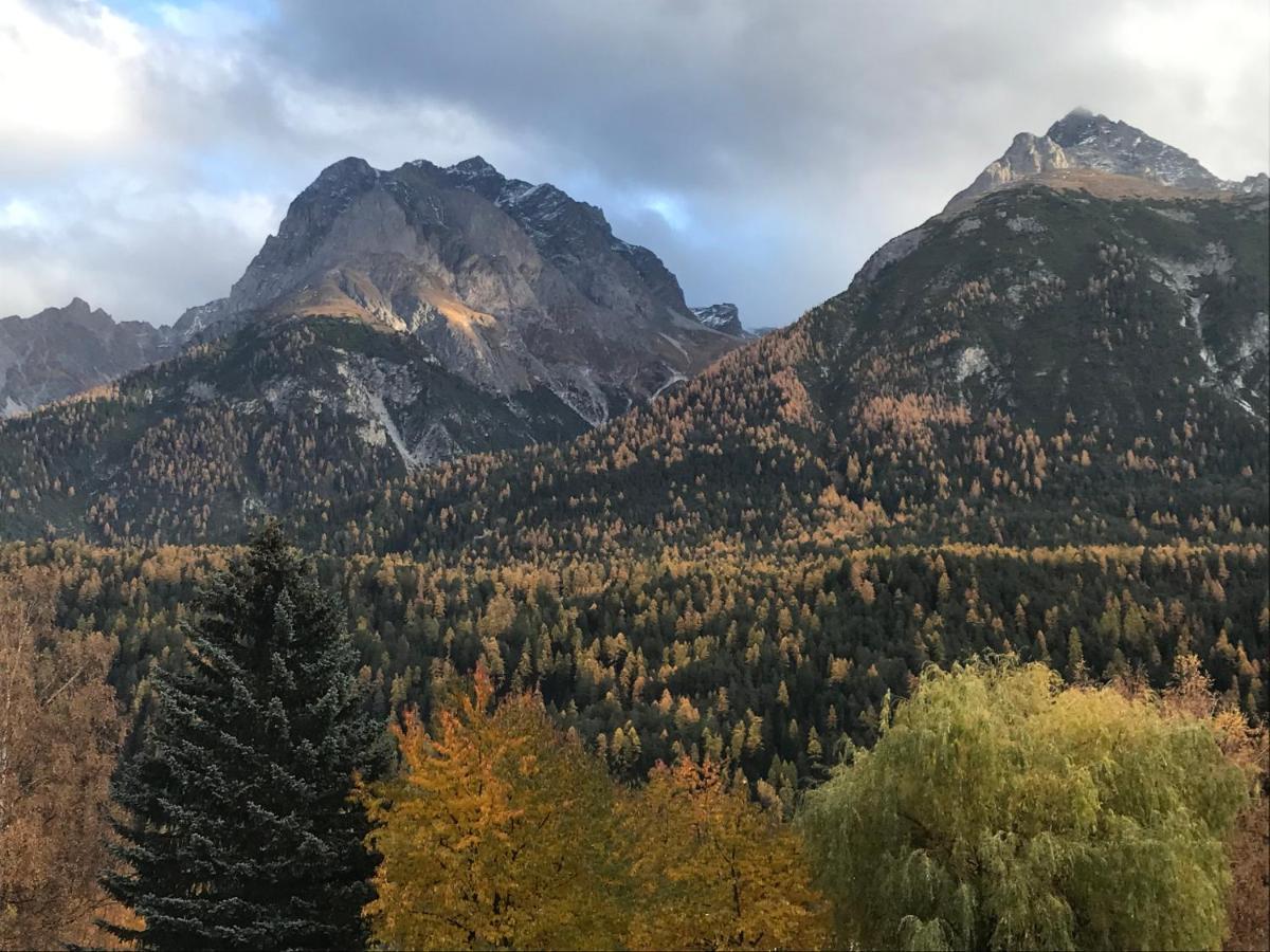Aaa Chalet Allegra Rojo With Mountain View 스쿠올 외부 사진